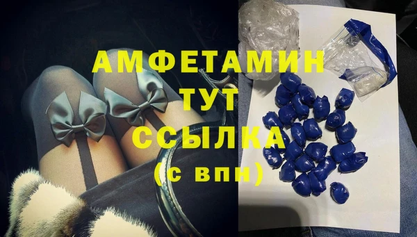 мяу мяу мука Беломорск