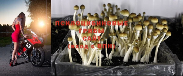 таблы Белоозёрский